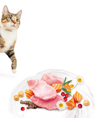 Brit_Care_Cat_Grain-Free_Sensitive 